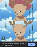 해럴드 경제가 생각하는 대머리