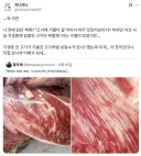 약혐) 기생충에 감염된 고기는 기름져보인다