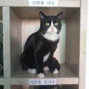 니들 군대 개인화기 바뀐 거 알고있냐?