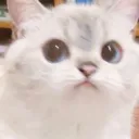 폴드8 바닥에 흘림ㄷㄷ