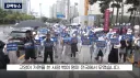 캣맘들 근황