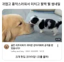 아아 너무 귀엽다