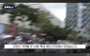 대한민국 길고양이 문제 근황.jpg