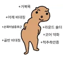 지금 내 상태