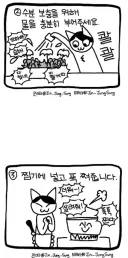현재 한반도 기온 근황