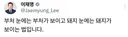 이대통령 돼지글 논란