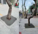 나무 : 살려줘.jpg