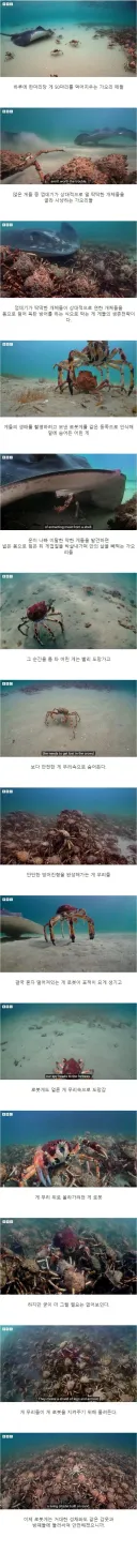 구하러 올 필요 없다 유기체. 난 기계일뿐이다.