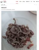 서울대생 근황
