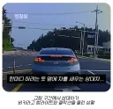 한국인 한정 가성비 발작 버튼.jpg