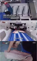 노르웨이 순살 고등어 공장