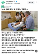 10살 소녀가 악어에게서 살아남은 방법