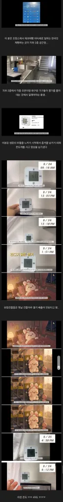 프랑스에서 내장 수비드로 죽을뻔한 한국인.jpg