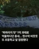"파파라치 탓" 1억 과태료 억울하다던 불법주차 동네.jpg
