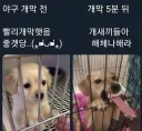 캡틴 아메리카가 야구를 좋아하면서 선한 이유