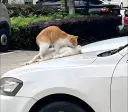 아주 모텔을 가라