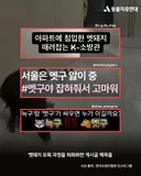 꽃사슴도, 멧돼지도 '유해 동물'…누가 낙인찍었나 [정진아의 다르지만 함께]