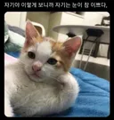 초딩들의 개웃긴 시험 답안지 모음
