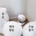 출근 후 직장의 책상 앞에서 보게 되는것