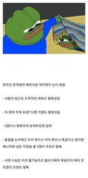 외국 북한식당 탈북 레전드 사건