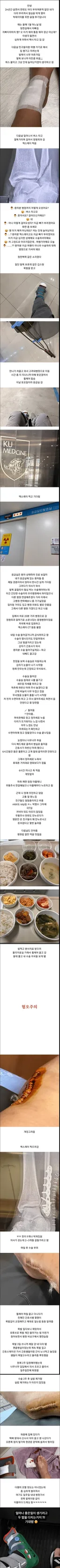 스압 발목 부러졌는데 안아프다는 관우녀