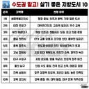 수도권 제외, 살기 좋은 지방 도시 TOP 10.