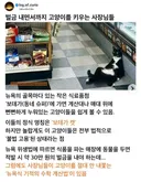미국 마트 사장들이 벌금 내면서까지 고양이를 키우는 이유