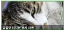 내가 라멘을 잘못 배웠나..??
