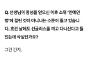 보법이 다른 코리안 트레버 정일영 교수