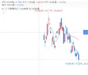 주식)하이닉스,삼성전자 레버리지 투자자 99.9퍼가 손실중