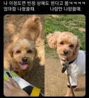 강아지한테 빈정 상해도 되냐?? .jpg