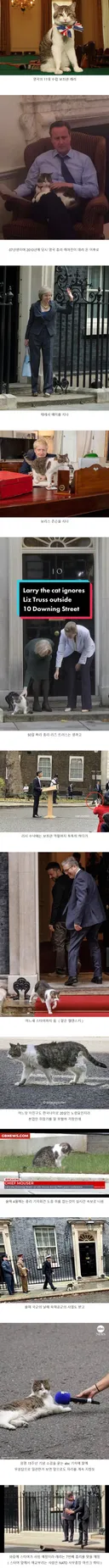 영국의 고양이 보좌관 래리 근황