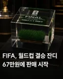 피파 돈미새 새끼들ㅋㅋ 결승전 잔디 판매