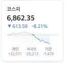 주식) 이유없음 서킷브레이크 발동!
