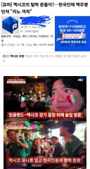 유게에서 국가나 인종 관련으로 자주 볼 수 있는 거
