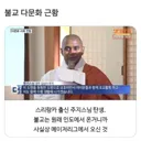 불교의 다문화 근황