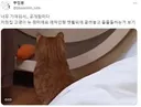 어느 고양이의 하찮은 취미....gif