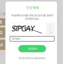 부정예매 방지를 위해 보안 문자를 입력하세요, 씹게이야.jpg