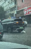 길 가다가 출산한 BYD 자동차