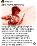 남편을 위해 해적이 된 귀족 부인