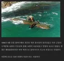 광어 한 마리에 무너진 북한 무장공비