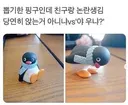 뽑기에서 뽑은 핑구 피규어 논란