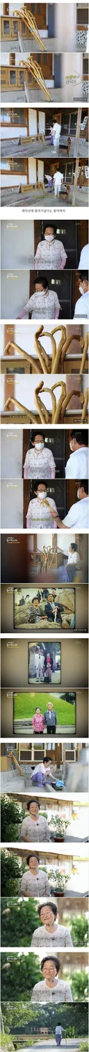 남편이 죽기전 남기고간 선물 . JPG