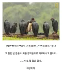 ??? : 학생들 모두 모였나?