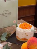 성심당 🍑복숭아 케이크 7/14 출시