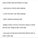 공포정치도 못막은 사랑의 탈북.jpg