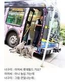 너구리의 여정 ㄷㄷ