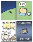 망곰이가 말하는 별 볼일 있는 존재