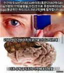 실제로 엄청 놀라운 뇌의 용량