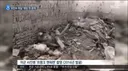 일본군 조선인 위안부 학살 영상 최초공개_2018년